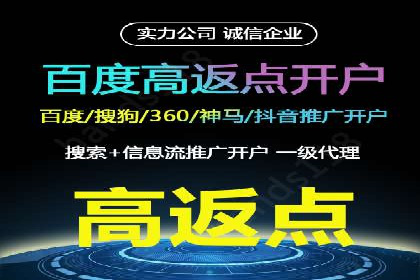 SEM竞价实战：成功案例解析